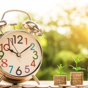 Faktor Yang Berpengaruh Dalam Pengambilan Keputusan Struktur Modal